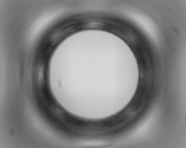 X0000114231150200910231458