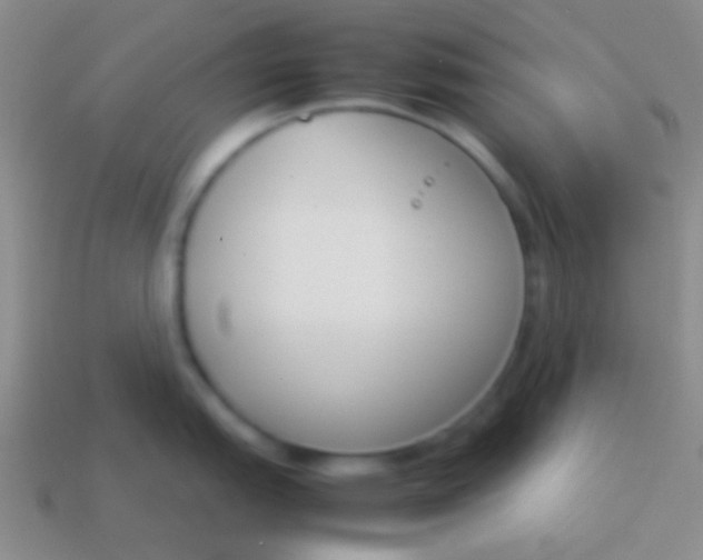 X0000114231151200910231458