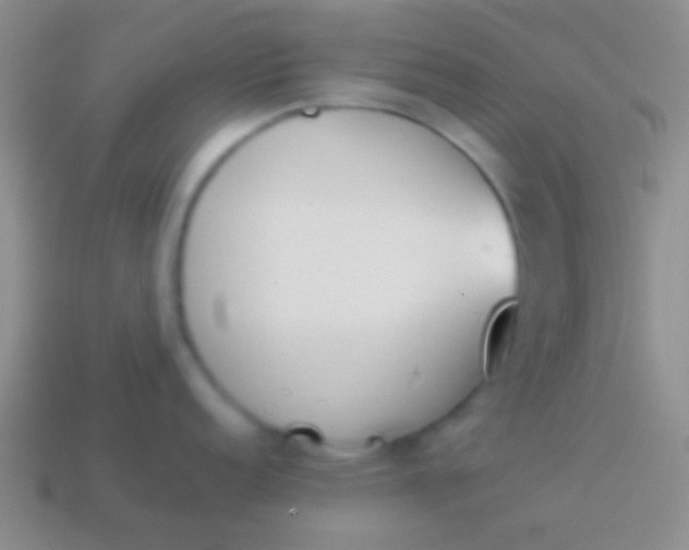 X0000114231152200910231458