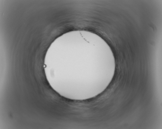 X0000114231153200910231457