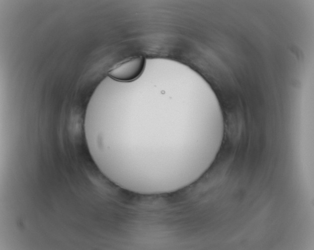 X0000114231154200910231457