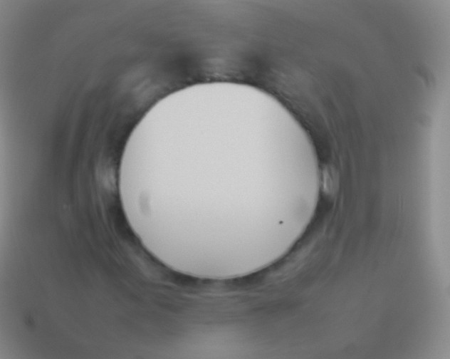 X0000114231155200910231457