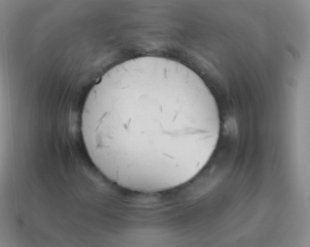 X0000114231156200910231457