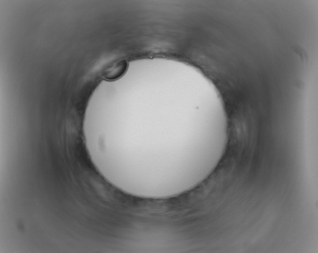 X0000114231158200910231457