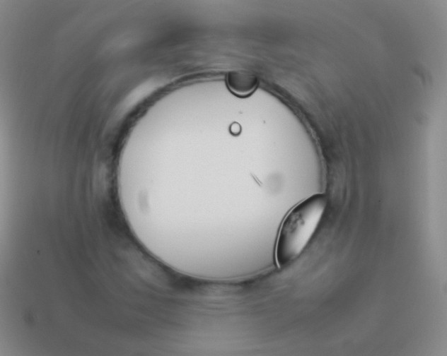 X0000114231163200910231457