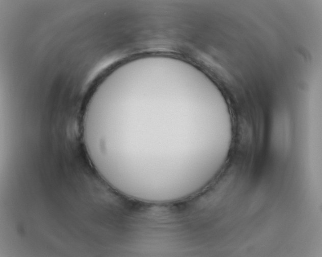 X0000114231166200910231457