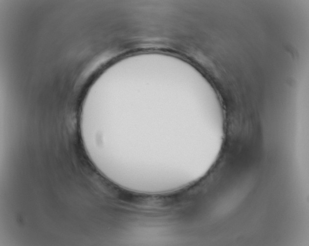 X0000114231167200910231457