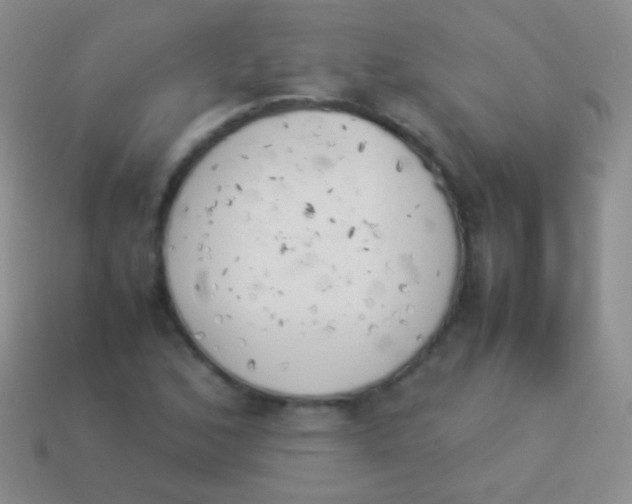 X0000114231168200910231457