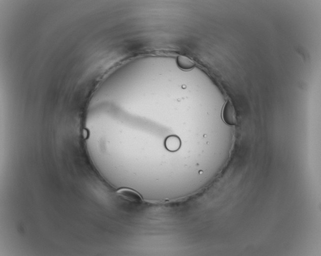 X0000114231169200910231457