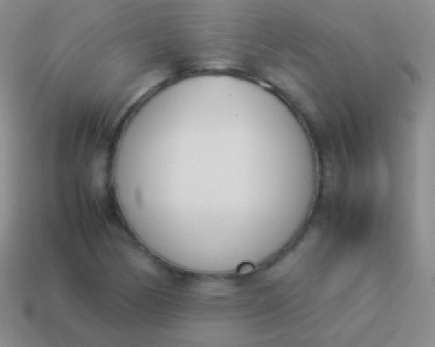 X0000114231170200910231457