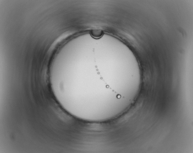 X0000114231172200910231457