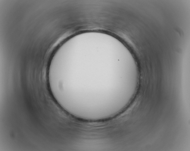 X0000114231173200910231457