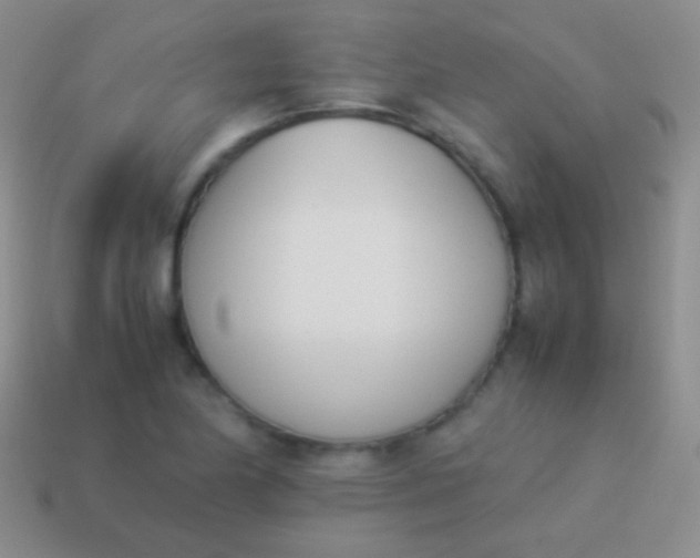 X0000114231174200910231457