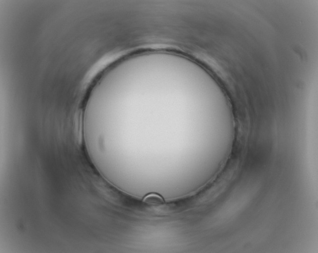 X0000114231175200910231457