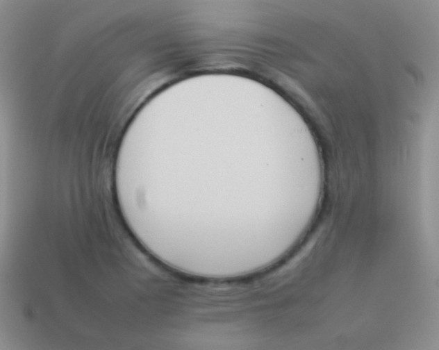 X0000114231177200910231457
