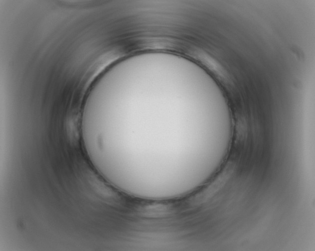 X0000114231178200910231457