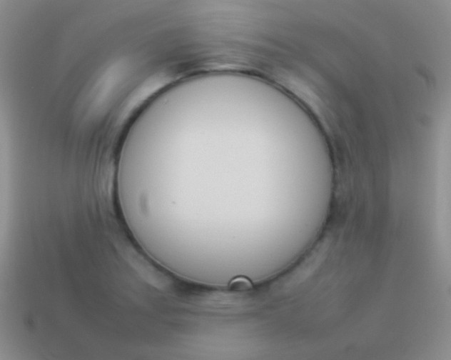 X0000114231179200910231457