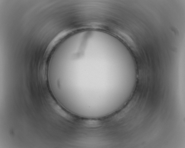 X0000114231180200910231457