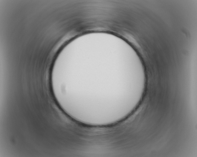 X0000114231181200910231457