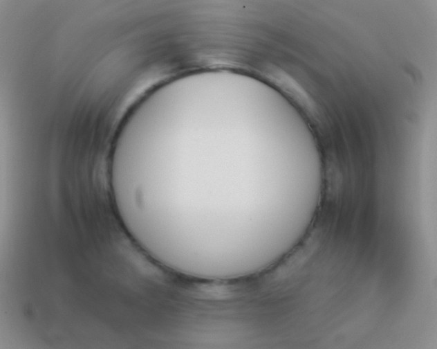 X0000114231182200910231457