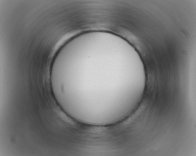 X0000114231184200910231457