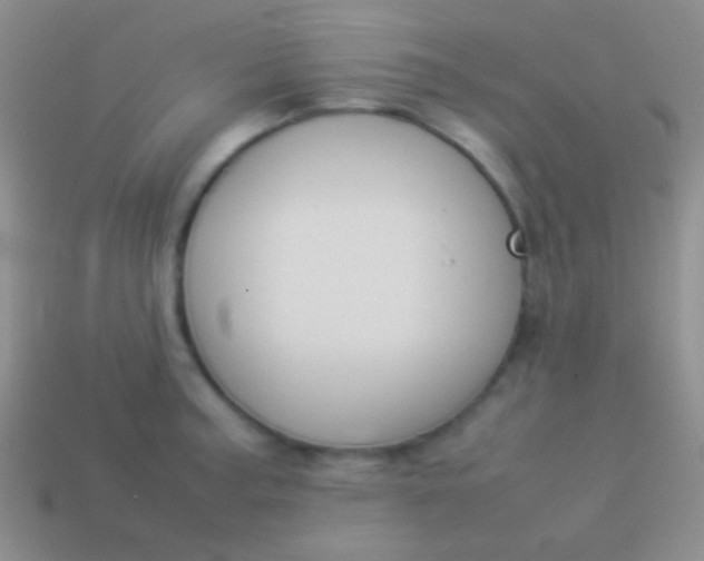 X0000114231187200910231457
