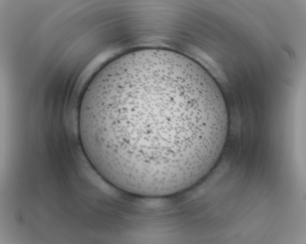 X0000114231188200910231457