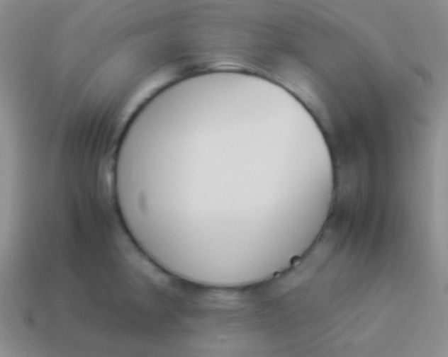 X0000114231190200910231457