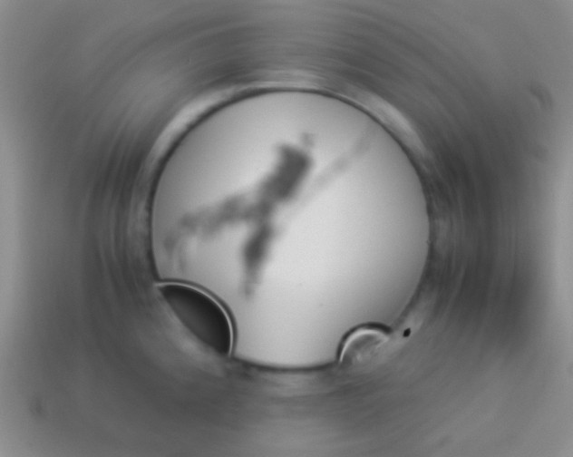 X0000114231192200910231457
