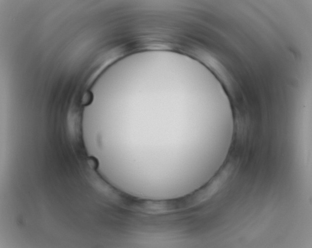 X0000114231194200910231457