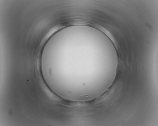 X0000114231195200910231457