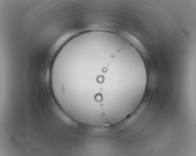X0000114231196200910231457