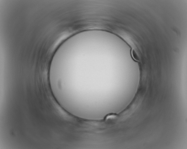 X0000114231197200910231457