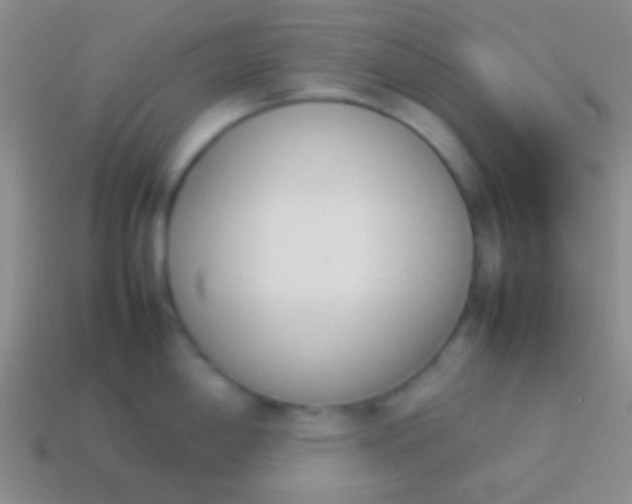 X0000114231198200910231457