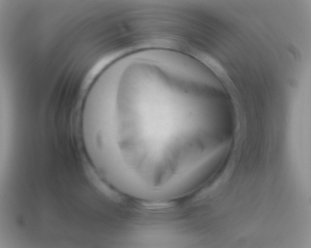 X0000114231200200910231457