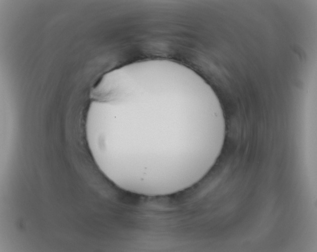 X0000114231201200910231456