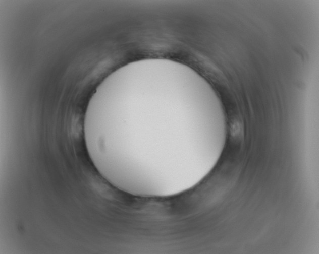 X0000114231204200910231456