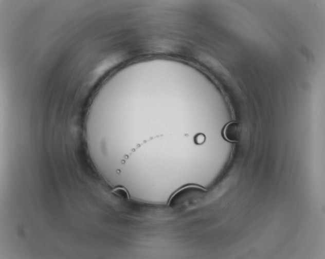 X0000114231210200910231456