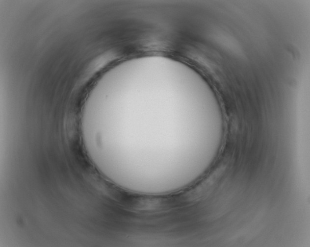 X0000114231211200910231456
