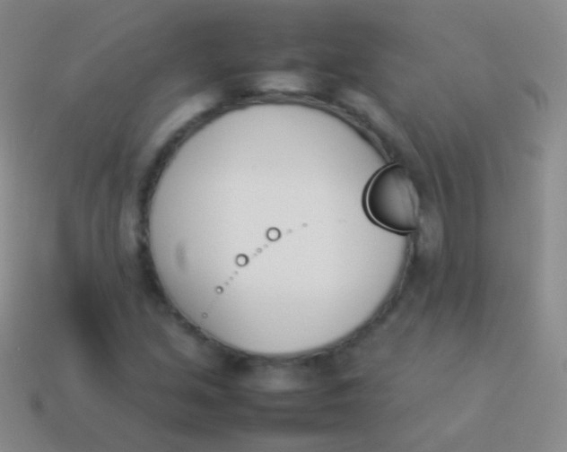 X0000114231213200910231456