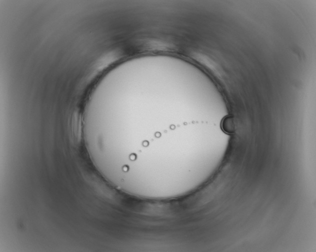 X0000114231219200910231456