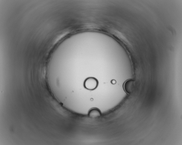 X0000114231220200910231457