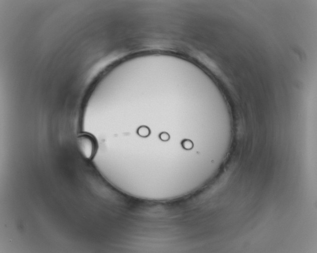X0000114231222200910231457