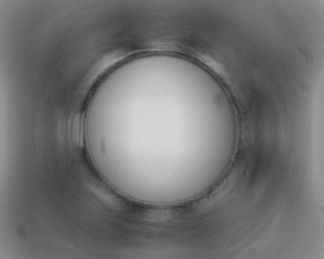 X0000114231223200910231457