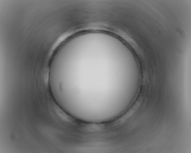 X0000114231224200910231457