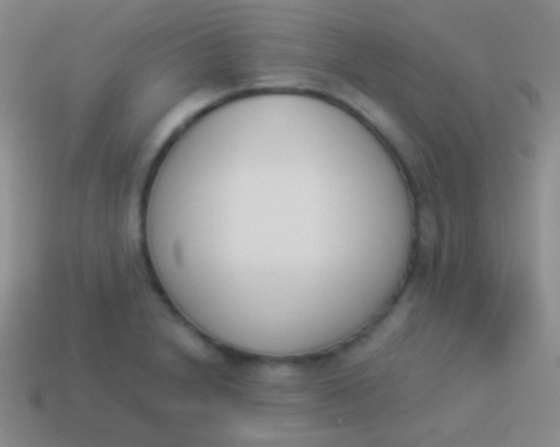 X0000114231230200910231457