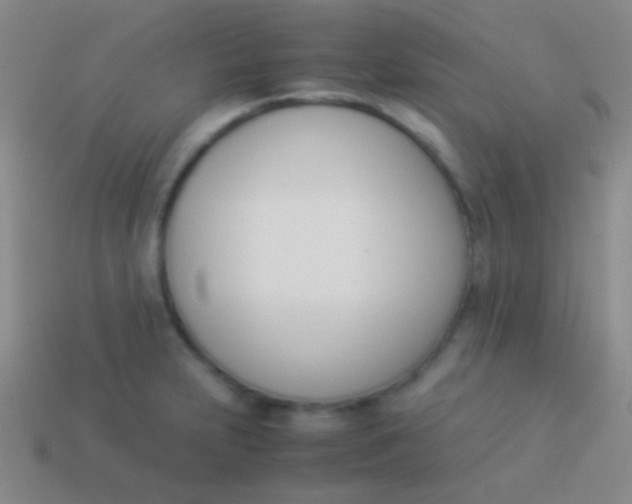 X0000114231231200910231457