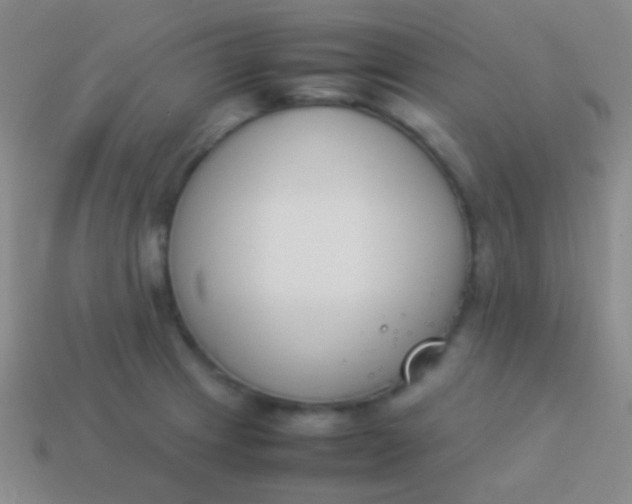 X0000114231233200910231457