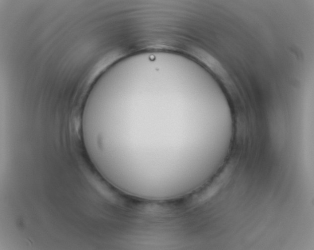 X0000114231234200910231457