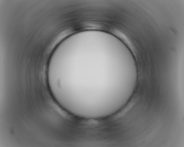 X0000114231235200910231457